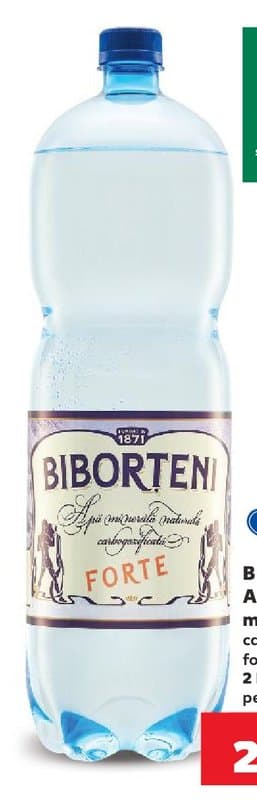Biborțeni Apă minerală carbogazoasă forte