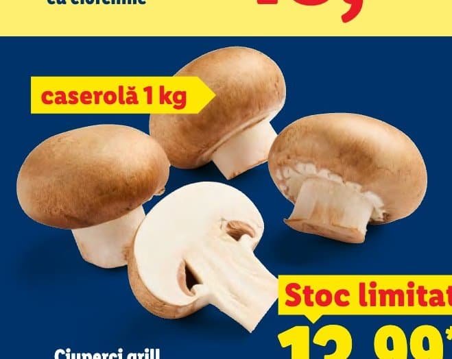 Ciuperci grill Champignon brune